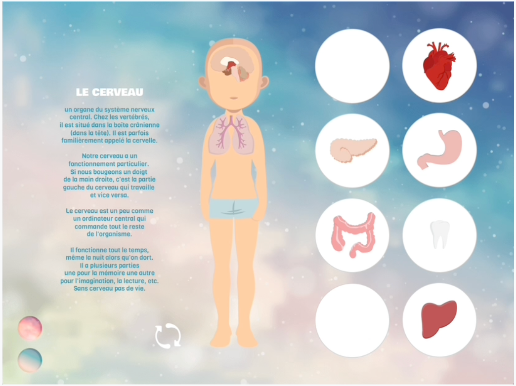 Add interactive elements